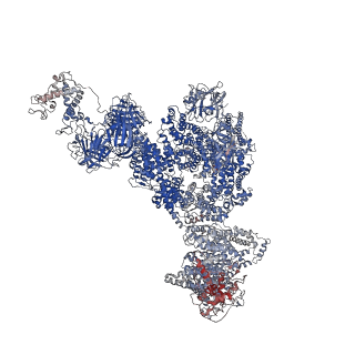 23692_7m6a_G_v1-2
High resolution structure of the membrane embedded skeletal muscle ryanodine receptor