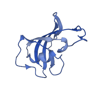 23692_7m6a_H_v1-2
High resolution structure of the membrane embedded skeletal muscle ryanodine receptor