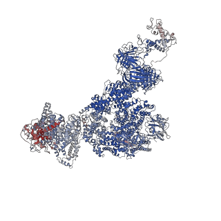 23692_7m6a_I_v1-2
High resolution structure of the membrane embedded skeletal muscle ryanodine receptor
