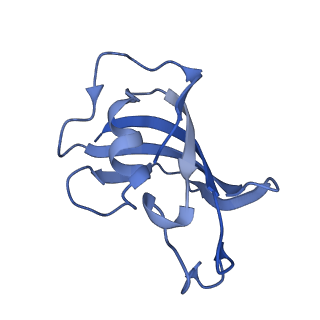 23692_7m6a_J_v1-2
High resolution structure of the membrane embedded skeletal muscle ryanodine receptor