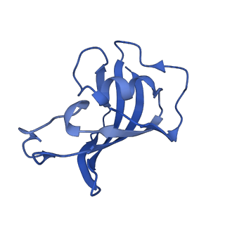23692_7m6a_O_v1-2
High resolution structure of the membrane embedded skeletal muscle ryanodine receptor