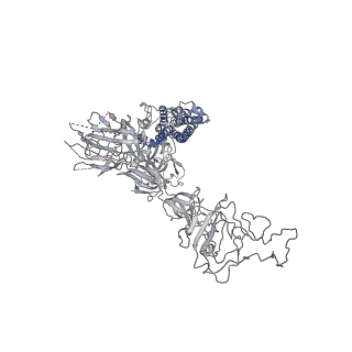 23696_7m6h_C_v1-2
Structure of the SARS-CoV-2 S 2P trimer in complex with the human neutralizing antibody Fab fragment, BG7-20