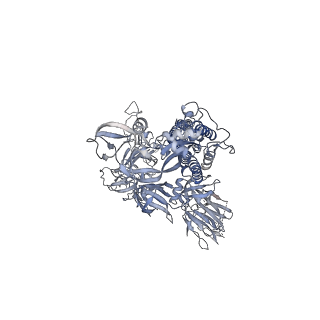 23697_7m6i_C_v1-2
Structure of the SARS-CoV-2 S 2P trimer in complex with the human neutralizing antibody Fab fragment, BG1-24