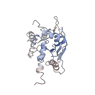 23698_7m6j_B_v1-0
Human Septin Hexameric Complex SEPT2G/SEPT6/SEPT7 by Single Particle Cryo-EM