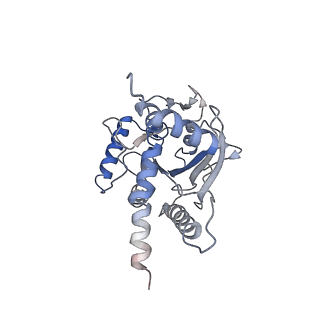 23698_7m6j_D_v1-0
Human Septin Hexameric Complex SEPT2G/SEPT6/SEPT7 by Single Particle Cryo-EM