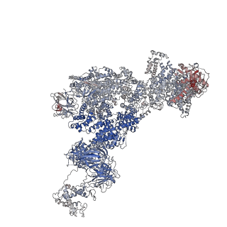 23699_7m6l_A_v1-2
High resolution structure of the membrane embedded skeletal muscle ryanodine receptor