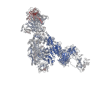 23699_7m6l_B_v1-2
High resolution structure of the membrane embedded skeletal muscle ryanodine receptor