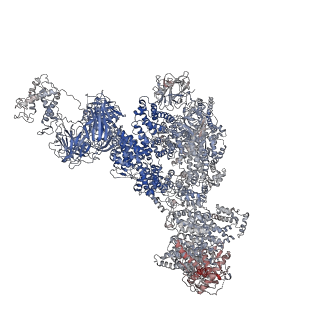 23699_7m6l_G_v1-2
High resolution structure of the membrane embedded skeletal muscle ryanodine receptor
