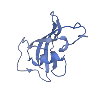 23699_7m6l_H_v1-2
High resolution structure of the membrane embedded skeletal muscle ryanodine receptor