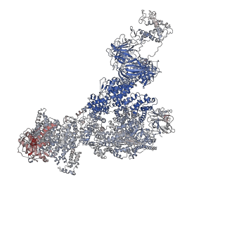 23699_7m6l_I_v1-2
High resolution structure of the membrane embedded skeletal muscle ryanodine receptor