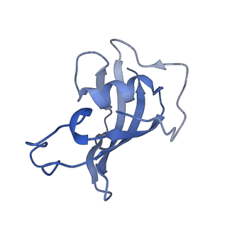 23699_7m6l_O_v1-2
High resolution structure of the membrane embedded skeletal muscle ryanodine receptor