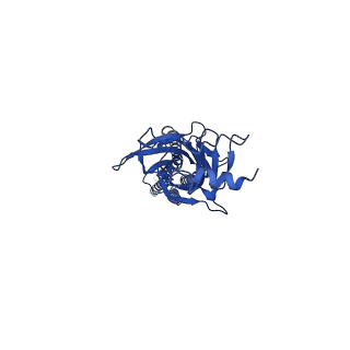 23701_7m6n_C_v1-2
Full length alpha1 Glycine receptor in presence of 0.1mM Glycine
