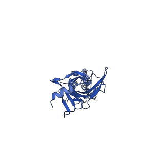 23702_7m6o_A_v1-2
Full length alpha1 Glycine receptor in presence of 0.1mM Glycine and 32uM Tetrahydrocannabinol