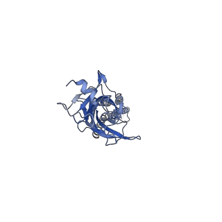 23703_7m6p_E_v1-2
Full length alpha1 Glycine receptor in presence of 1mM Glycine
