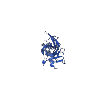 23704_7m6q_B_v1-2
Full length alpha1 Glycine receptor in presence of 1mM Glycine and 32uM Tetrahydrocannabinol State 1