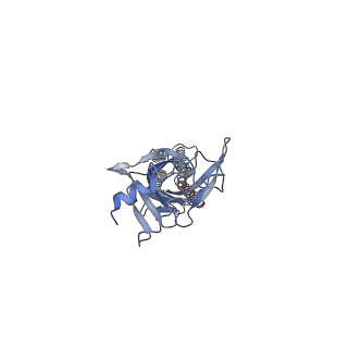 23705_7m6r_A_v1-2
Full length alpha1 Glycine receptor in presence of 1mM Glycine and 32uM Tetrahydrocannabinol State 2