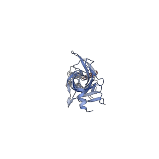 23705_7m6r_B_v1-2
Full length alpha1 Glycine receptor in presence of 1mM Glycine and 32uM Tetrahydrocannabinol State 2