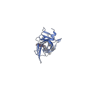 23705_7m6r_D_v1-2
Full length alpha1 Glycine receptor in presence of 1mM Glycine and 32uM Tetrahydrocannabinol State 2