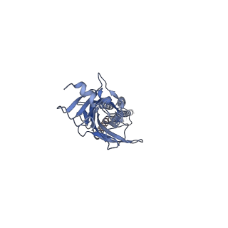 23706_7m6s_E_v1-2
Full length alpha1 Glycine receptor in presence of 1mM Glycine and 32uM Tetrahydrocannabinol State 3