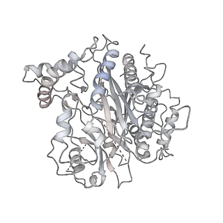 30108_6m62_4_v1-0
Cryo-Em structure of eukaryotic pre-60S ribosome subunit from Saccharomyces cerevisiae rpf2 delta 255-344 strain, C4 state.