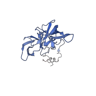 30108_6m62_A_v1-0
Cryo-Em structure of eukaryotic pre-60S ribosome subunit from Saccharomyces cerevisiae rpf2 delta 255-344 strain, C4 state.