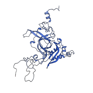 30108_6m62_B_v1-0
Cryo-Em structure of eukaryotic pre-60S ribosome subunit from Saccharomyces cerevisiae rpf2 delta 255-344 strain, C4 state.