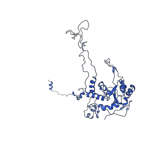 30108_6m62_C_v1-0
Cryo-Em structure of eukaryotic pre-60S ribosome subunit from Saccharomyces cerevisiae rpf2 delta 255-344 strain, C4 state.