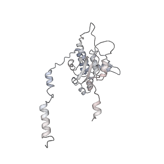 30108_6m62_D_v1-0
Cryo-Em structure of eukaryotic pre-60S ribosome subunit from Saccharomyces cerevisiae rpf2 delta 255-344 strain, C4 state.