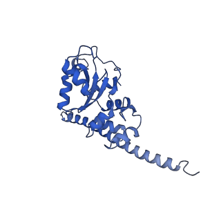30108_6m62_F_v1-0
Cryo-Em structure of eukaryotic pre-60S ribosome subunit from Saccharomyces cerevisiae rpf2 delta 255-344 strain, C4 state.
