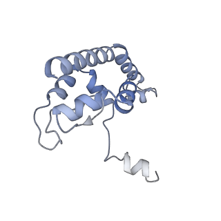 30108_6m62_I_v1-0
Cryo-Em structure of eukaryotic pre-60S ribosome subunit from Saccharomyces cerevisiae rpf2 delta 255-344 strain, C4 state.