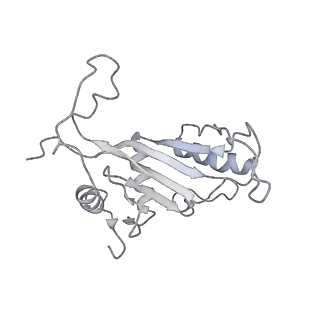 30108_6m62_J_v1-0
Cryo-Em structure of eukaryotic pre-60S ribosome subunit from Saccharomyces cerevisiae rpf2 delta 255-344 strain, C4 state.
