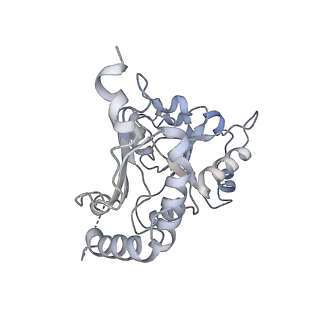 30108_6m62_K_v1-0
Cryo-Em structure of eukaryotic pre-60S ribosome subunit from Saccharomyces cerevisiae rpf2 delta 255-344 strain, C4 state.