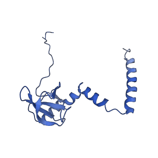 30108_6m62_M_v1-0
Cryo-Em structure of eukaryotic pre-60S ribosome subunit from Saccharomyces cerevisiae rpf2 delta 255-344 strain, C4 state.