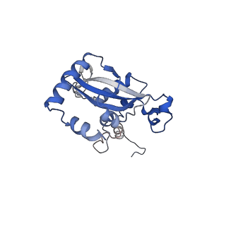 30108_6m62_N_v1-0
Cryo-Em structure of eukaryotic pre-60S ribosome subunit from Saccharomyces cerevisiae rpf2 delta 255-344 strain, C4 state.