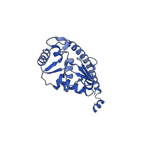 30108_6m62_O_v1-0
Cryo-Em structure of eukaryotic pre-60S ribosome subunit from Saccharomyces cerevisiae rpf2 delta 255-344 strain, C4 state.