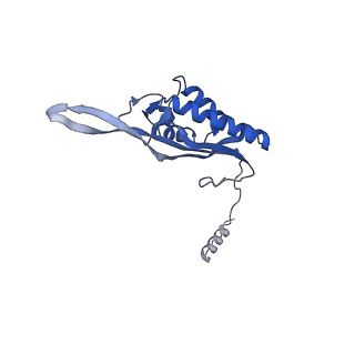 30108_6m62_P_v1-0
Cryo-Em structure of eukaryotic pre-60S ribosome subunit from Saccharomyces cerevisiae rpf2 delta 255-344 strain, C4 state.