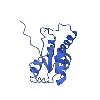 30108_6m62_Q_v1-0
Cryo-Em structure of eukaryotic pre-60S ribosome subunit from Saccharomyces cerevisiae rpf2 delta 255-344 strain, C4 state.