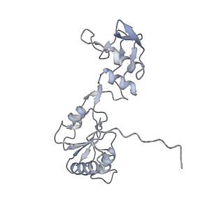 30108_6m62_W_v1-0
Cryo-Em structure of eukaryotic pre-60S ribosome subunit from Saccharomyces cerevisiae rpf2 delta 255-344 strain, C4 state.