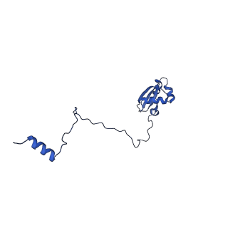 30108_6m62_X_v1-0
Cryo-Em structure of eukaryotic pre-60S ribosome subunit from Saccharomyces cerevisiae rpf2 delta 255-344 strain, C4 state.