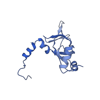 30108_6m62_Y_v1-0
Cryo-Em structure of eukaryotic pre-60S ribosome subunit from Saccharomyces cerevisiae rpf2 delta 255-344 strain, C4 state.