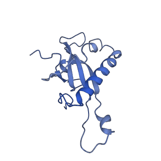 30108_6m62_Z_v1-0
Cryo-Em structure of eukaryotic pre-60S ribosome subunit from Saccharomyces cerevisiae rpf2 delta 255-344 strain, C4 state.