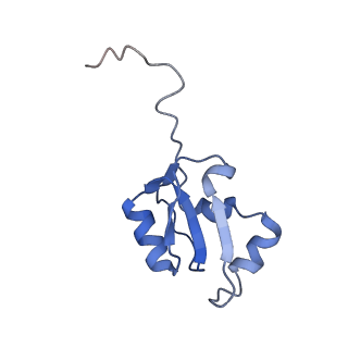 30108_6m62_a_v1-0
Cryo-Em structure of eukaryotic pre-60S ribosome subunit from Saccharomyces cerevisiae rpf2 delta 255-344 strain, C4 state.