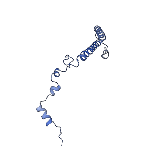 30108_6m62_h_v1-0
Cryo-Em structure of eukaryotic pre-60S ribosome subunit from Saccharomyces cerevisiae rpf2 delta 255-344 strain, C4 state.