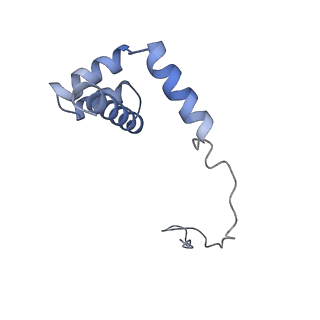 30108_6m62_i_v1-0
Cryo-Em structure of eukaryotic pre-60S ribosome subunit from Saccharomyces cerevisiae rpf2 delta 255-344 strain, C4 state.