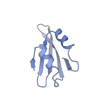 30108_6m62_k_v1-0
Cryo-Em structure of eukaryotic pre-60S ribosome subunit from Saccharomyces cerevisiae rpf2 delta 255-344 strain, C4 state.