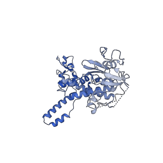 30108_6m62_n_v1-0
Cryo-Em structure of eukaryotic pre-60S ribosome subunit from Saccharomyces cerevisiae rpf2 delta 255-344 strain, C4 state.