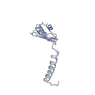 30108_6m62_o_v1-0
Cryo-Em structure of eukaryotic pre-60S ribosome subunit from Saccharomyces cerevisiae rpf2 delta 255-344 strain, C4 state.