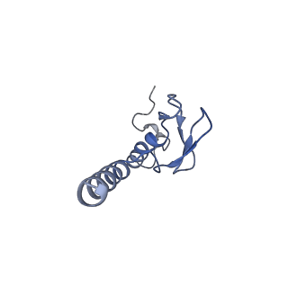 30108_6m62_p_v1-0
Cryo-Em structure of eukaryotic pre-60S ribosome subunit from Saccharomyces cerevisiae rpf2 delta 255-344 strain, C4 state.
