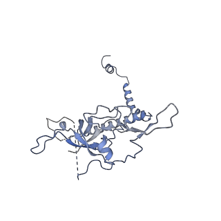 30108_6m62_r_v1-0
Cryo-Em structure of eukaryotic pre-60S ribosome subunit from Saccharomyces cerevisiae rpf2 delta 255-344 strain, C4 state.