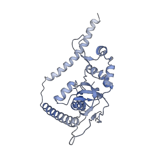 30108_6m62_t_v1-0
Cryo-Em structure of eukaryotic pre-60S ribosome subunit from Saccharomyces cerevisiae rpf2 delta 255-344 strain, C4 state.